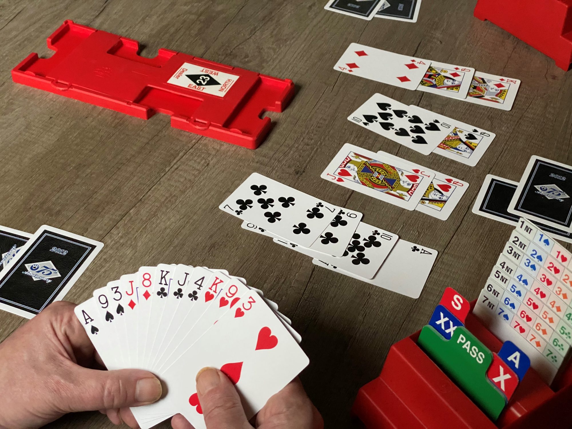 Bridge (© Open Access Government)